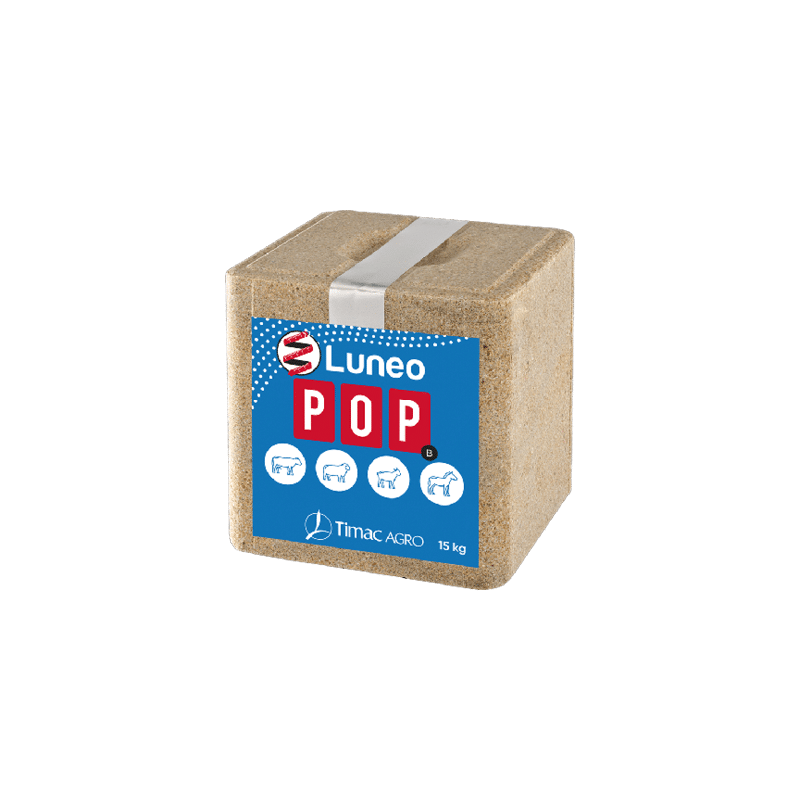 LUNEO POP B