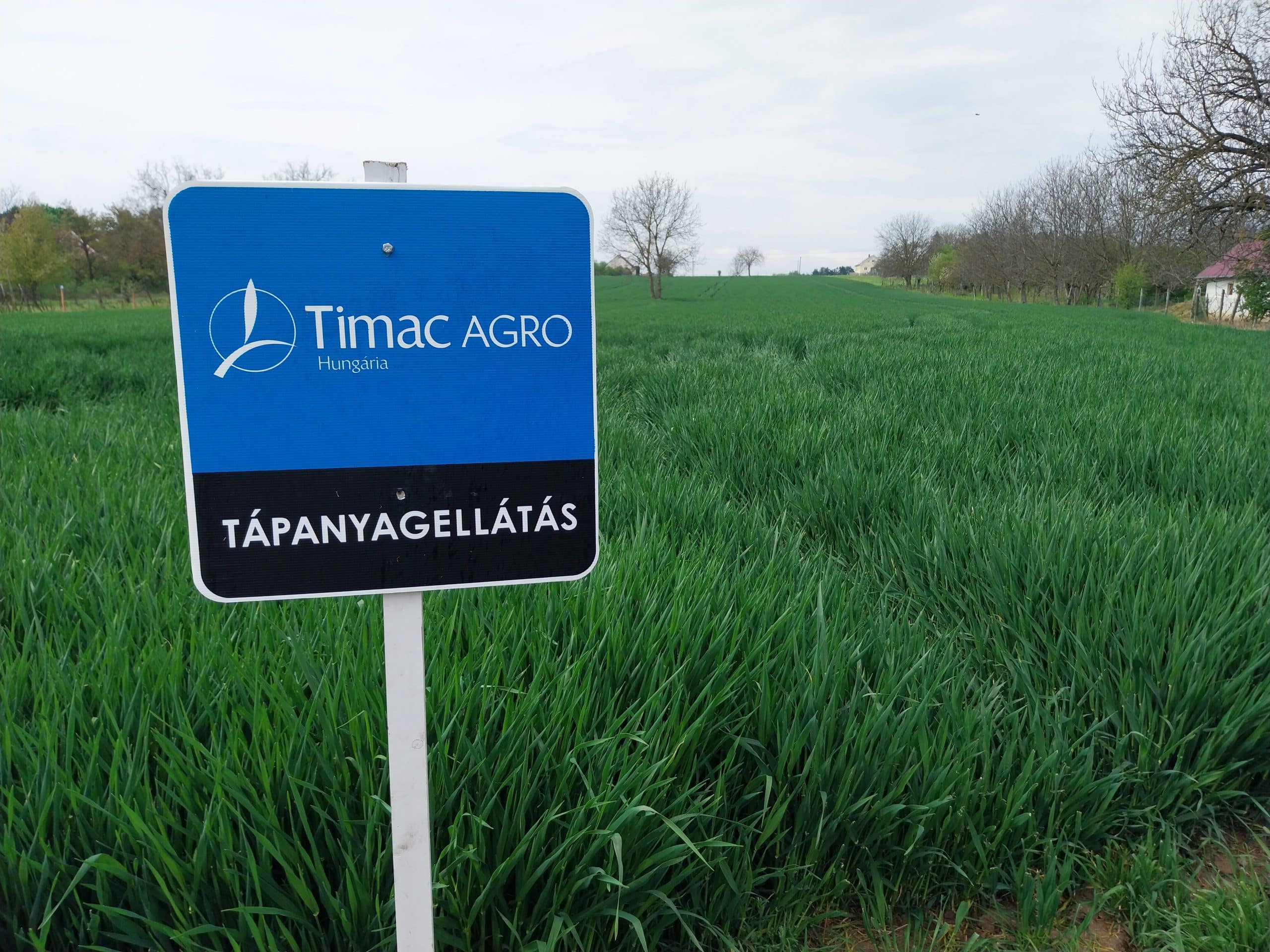 tah marketing products in the field (10)