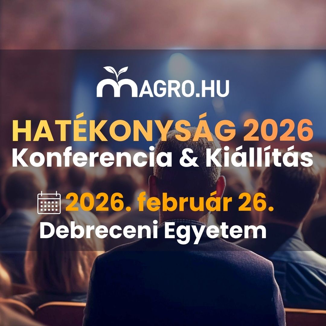 hatékonyság info 1080x1080