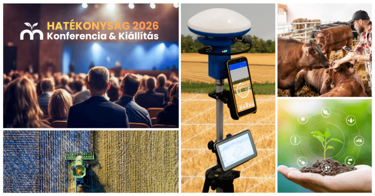 hatékonyság 2026 1200x628 2