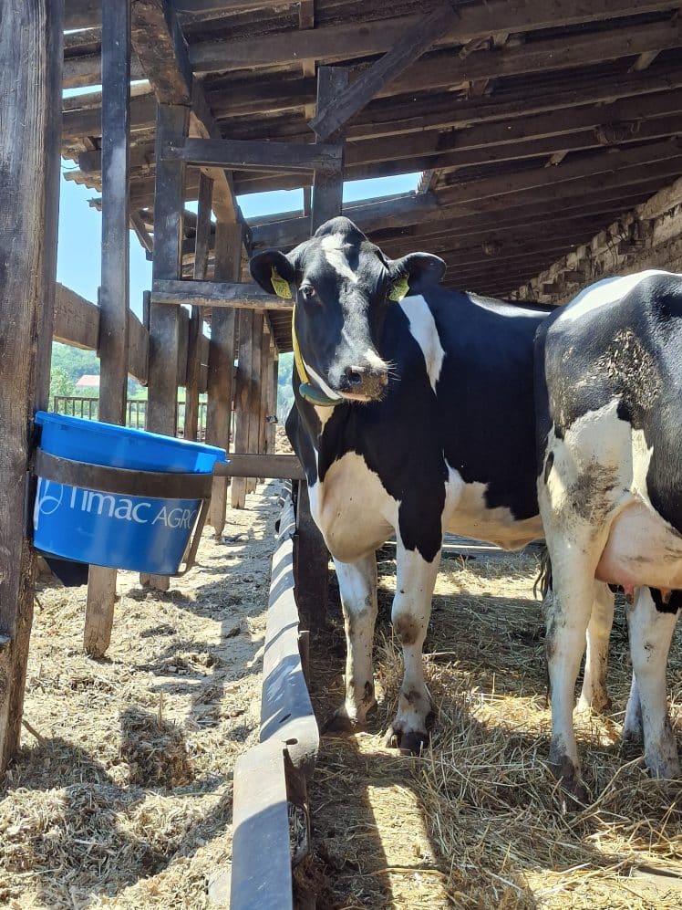 agro milch képek (3)